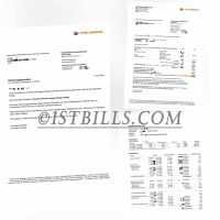 奥地利地址证明 维也纳能源公司 燃气电费账单 Wien Energie Gas Electricity Utility Bill