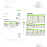 德国水电费账单 gruenwelt energie电费 地址证明 German water and electricity bills (gruenwelt energie electricity bill) (proof of address)
