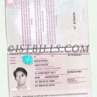 欧盟| 波兰护照PSD Poland Passport Template /PSD模板（V1版）