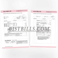 香港汇丰银行 白金VISA卡户口结单 香港地址证明 Hong Kong HSBC Platinum VISA Card Account Statement Hong Kong Address Proof