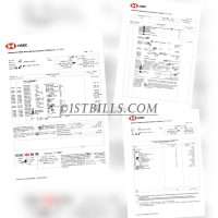 香港汇丰银行信用卡账单 HSBC HK Bank Statement