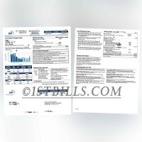 美国地址证明 宾夕法尼亚州 PPL电费账单 Proof of U.S. Address Pennsylvania PPL Electricity Bill