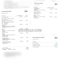 N26银行账单带工资流水收入证明 N26 bank statement salary flow income proof