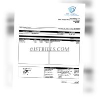 收入证明 PD LOGISTICS英国物流公司工资单（收入证明）