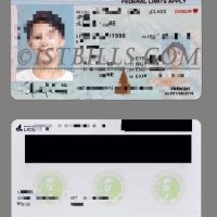 USA美国华盛顿州Washington DL新版驾驶证/驾照高质量PSD模板