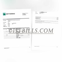法国 巴黎银行账单 地址证明 France BNP Paribas Bank Statement PDF