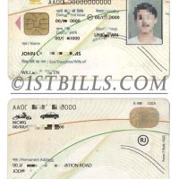 南亚| 印度驾照/驾驶证PSD模板 Indian Driving Licence PSD