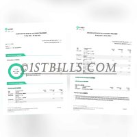 香港众安银行账单 地址证明 Hong Kong ZhongAn Bank Statement Address Proof