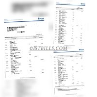 新加坡 POSB银行账单 带工资流水 Singapore POSB bank statement with salary slip