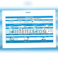 收入来源证明 China基本工资单 Wise收入证明 带公司中/英文名 中/英文拼音名 Payslip Salary（收入证明）