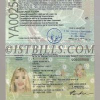 欧盟| 意大利护照 Italy Passport PSD/photoshop/ps模板