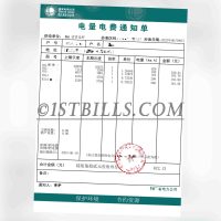 国家电网 电费账单 亚马逊 派安盈 地址证明 Amazon Payoneer China Electricity Address Proof（中国大陆地址证明）