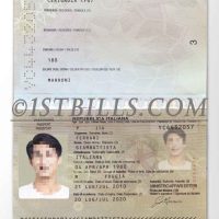 欧盟| 意大利护照 Italy Passport PSD/photoshop/PS模板 (old)