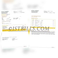 意大利联合圣保罗银行 信用卡账单 地址证明Intesa Sanpaolo Credit Card Statement Proof of Address