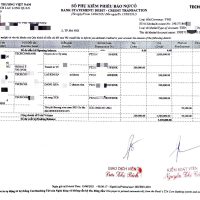 东南亚|越南 Vietnam Techcombank Statement 银行账单/KYC地址证明pdf