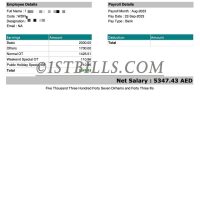 迪拜阿联酋工资单 Dubai salary