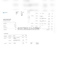 Monese银行账单 Bank Statement（欧盟地址证明）