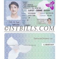 北美| 安大略省驾照/驾驶证 Canada Ontario DL PSD/Photoshop/PS模板