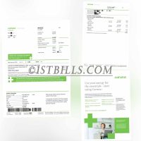 芬兰Caruna电费账单 芬兰地址证明 Finnish Caruna Electricity Bill PDF