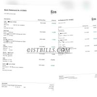 N26银行账单 Bank Statement（欧盟地址证明）