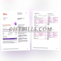 英国地址证明 eon next 电费燃气账单 UK address proof eon next electricity and gas bill