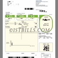 香港中华电力Hong Kong Utility Bills(CLP)香港水电费账单/地址证明