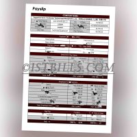 收入证明工资单 收入来源 China基本工资单 带公司名字 中/英文拼音名 Payslip Salary（收入证明）