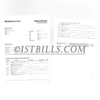 法国 Revolut Business 公司银行账单 法国公司地址证明 Revolut Business bank statement (France), French company address proof