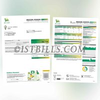 意大利地址证明 Eni Plenitude电费账单 Proof of Italian address Eni Plenitude electricity bill