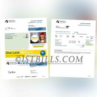 美国地址证明 佛罗里达州 Tampaelectric电费账单 Proof of U.S. Address Florida Tampaelectric Electricity Bill