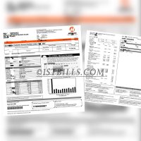 菲律宾电费账单 Philippines Electricity bill
