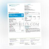 美国特拉华州水电账单 DEC 电费 地址证明 Delaware, USA - Utility Bill (DEC) - Electricity Fee - Proof of Address