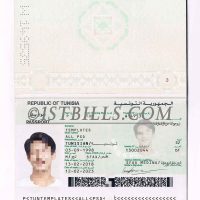 非洲|北非| 突尼斯护照 Tunisia Passport PS/Photoshop/PSD模板