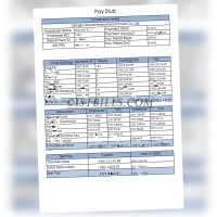 收入来源证明 Wise收入证明 China时薪工资单 Payslip Salary 带公司名字 中/英文拼音名（收入证明）2