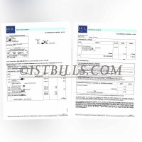 法国里昂信贷银行账单 地址证明 France LCL Bank Statement PDF