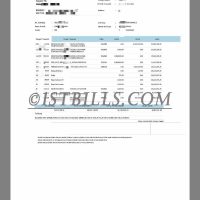 印度尼西亚地址证明 Indonesia BRI Bank Statement 印度尼西亚银行账单PDF