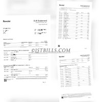 Revolut银行账单 Bank Statement（欧盟地址证明）