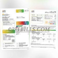 意大利电费账单  iren lucegas地址证明Italian electricity bill iren lucegas proof of address