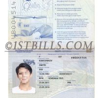 东欧|波罗的海| 爱沙尼亚护照 Estonia Passport PSD模板/photoshop/PS