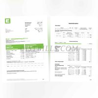 德国 e-steiermark 电费 地址证明 水电费账单 German e-steiermark electricity bill, proof of address, utility bills