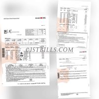 DBS HK 星展银行信用卡账单HongKong（香港地址证明）