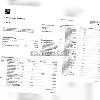 加拿大CIBC银行账单 Bank Statement（加拿大地址证明）