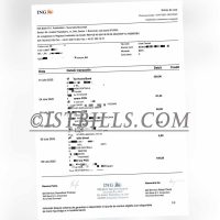 罗马尼亚ING银行账单地址证明 Proof of address from ING Bank statement in Romania