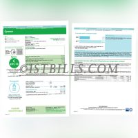 意大利水电费·燃气费账单 意大利Edison燃气账单地址证明 Italian water, electricity, and gas bills; proof of address for gas bills in Edison, Italy.