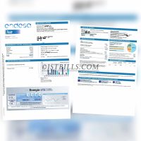 西班牙地址证明 endesa电费账单西班牙语 Spain electricity bill
