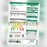 北美|Mexico CFE Power Utility Bills墨西哥水电费账单（墨西哥地址证明）