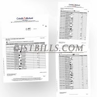 法国 国民互助信贷银行账单 地址证明 France CreditMutuel Bank Statement PDF