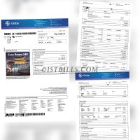 菲律宾网费账单 地址证明 Philippines Proof of Address Globe nternet bill