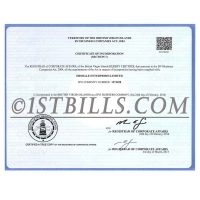 英属维尔京群岛营业执照pdf模板 BVI |British Virgin Islands Company Certificate pdf