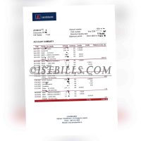 冰岛 Landsbanki 银行账单 地址证明 Iceland Landsbanki bank statement